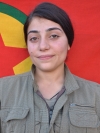 Arîn Zîlan - Münevver Baycan