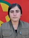 Hewler Rubar - Berçem Mirza