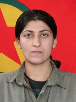 Zozan Tolhıldan - Rabia Kaya