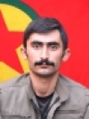 Çiyager Serçiya - Mehmet İhsan Kozanç