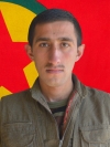 Sîdar Zagros - Serhildan Bor