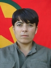Tekoşin Amanos - Ceylan Yaşar