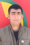 Canfeda Serxwebun - Mehdi Danış