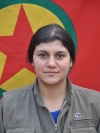 Ekin Çaldıran - Hediye Telhayi