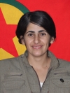 Zîlan Amed - Sozdar Osê