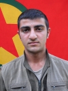 Kamuran Botan - Serdar Güler