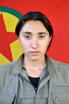 Roj Givera - Hevidar Farıs