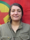 Arin Reber - Gülistan Mahçup