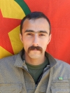 Levent Siverek - Arif Kokşah