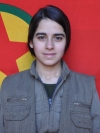 Sozdar - Didem Demir