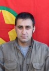 Zana Şengali - Dalyan Alsaç