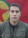 Hebun Beritan - Fırat Bor