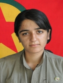 Tekoşin Rojhılat - Rojda Akgül