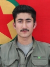 Ali Fırat Gever - Fırat Karasaç