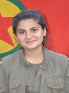 Roni Leşker -  Zozan Ali