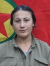 Ekin Çemçe - Yoncagül Ağaç