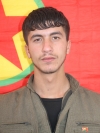 Welat Amed - Azad Başal