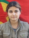 Ruken Goyi - Bişeng Yaman