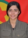 Sarya Lorîn – Pelda Doğri