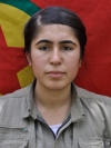 Zeynep Arin Kop - Alev Okumuş