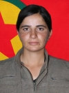 Arin Zagros - Xemse Abbas