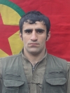 Argeş Piri - Şadi Önal