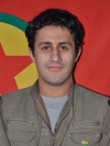 Reşit Bedran - Barış Çınar