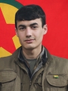 Welat Alikî - Raman Celal