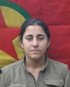 Zilan Gerdi - Nezire Yücel