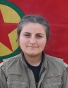 Siser Botan - Garibe Kılıç