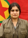 Jinda Jin - Elif Baran