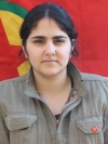 Aryana Botan - Zozan İbrahim