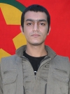Amed Avesta - Diyar Solmaz