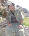 Rızgar Mamedi - Yılmaz Polat