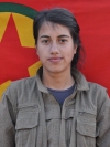 Amara Botan - Dîlan Baycan