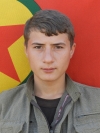 Welat Dılbırin - Ali Öğmen