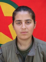 Beritan Şafak - Hülya Gök