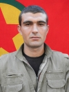Baz Mordem - Emre Dokuner