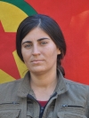 Amara Nuda Kurtalan - Gülcan Kaya