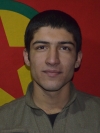 Serbest Caf - Danyar Kamil