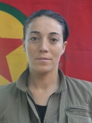 Madora Ararat - Şirvan Oran