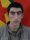 Navdar Ararat - Sinan Düzgün