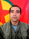 Agit Baran - Arman Amedi