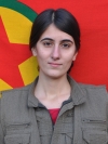 Avareş Tolhıldan - Hülya Ediz