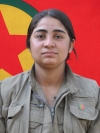 Hêvî Şerzan Koçer – Şîlan Çetinkaya