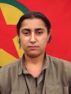 Hevi Sorxwin - Şükran Kaçar