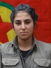 Axin Sozdar - Dilek Tektaş