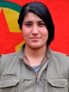Bahar Kandil - Hamide Ali