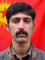Rebin Ronahi - Arman Katurani