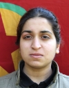 Ronahi Rızgar - Mizgin Akdoğan